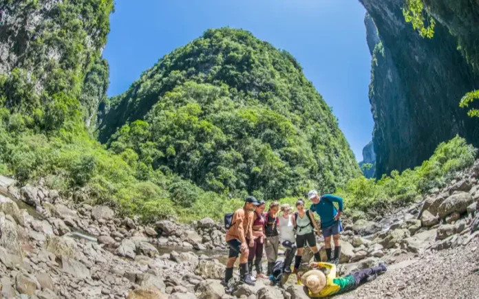 1ecc1bf4-986d-4714-8348-5e463398794e (1)