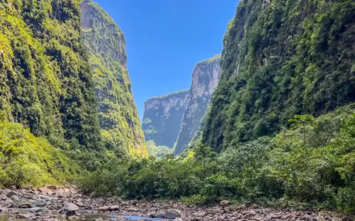 9fa10008-0bba-4aa9-b53c-cbac00ed16e9 (1)