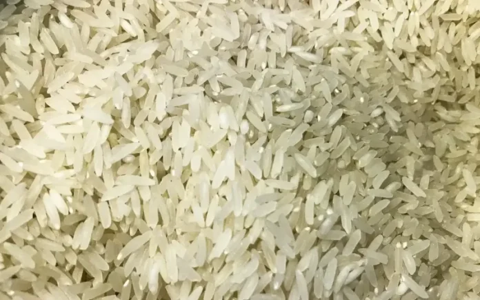 arroz_1009201525