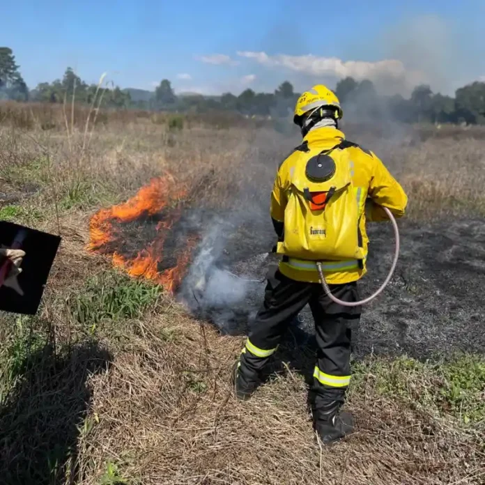 df247e80-e3d0-40ba-aec2-13871bdbe143 (1)