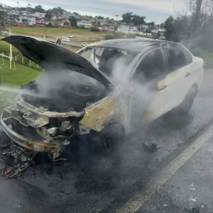 637f9386-7572-4ae6-8cd7-7fd5a9f7c8c1