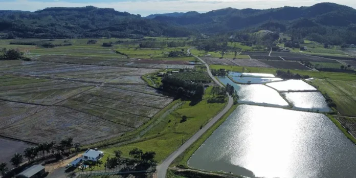 bed48ae6-7566-4ff4-939b-6f94eaef8002