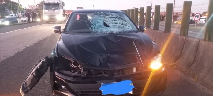 29e30b6f-6d84-4703-a4a0-d58cfe4dd21c