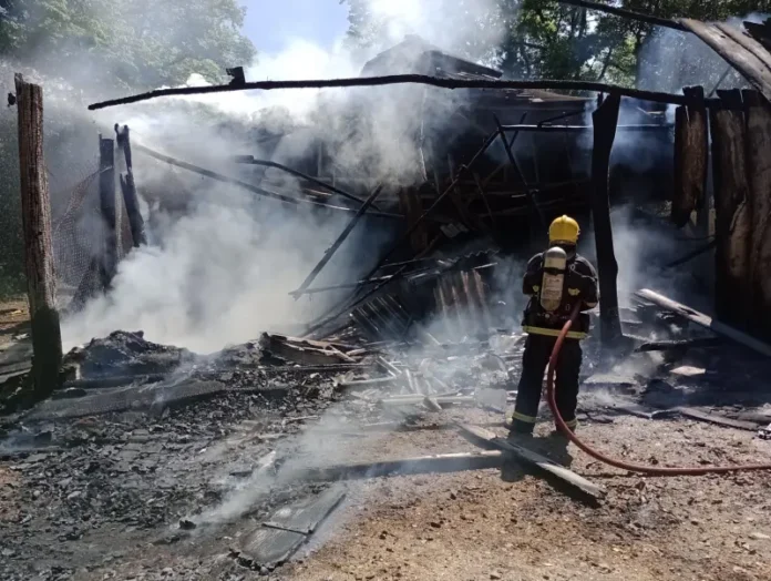 d8d2eec9-b521-49c2-94d4-55ba2b81fbe7 (1)