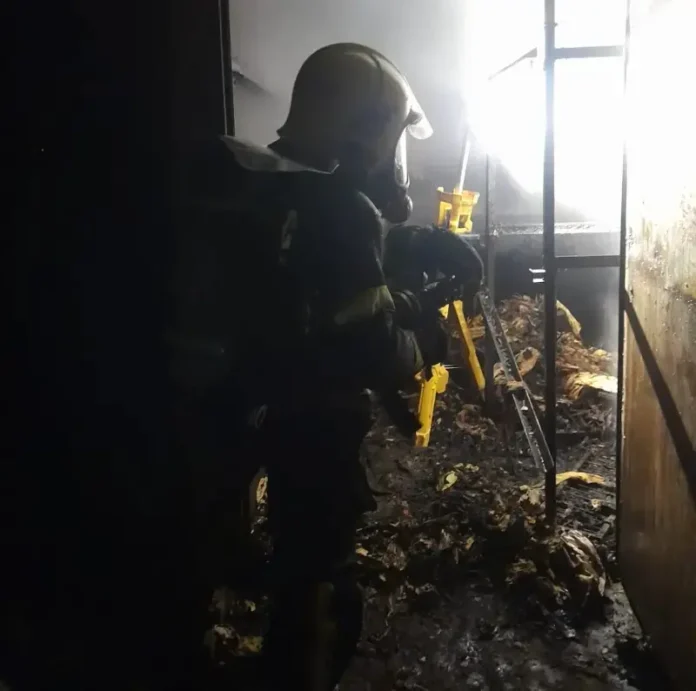 WhatsApp Image 2024-10-04 at 09.47.55