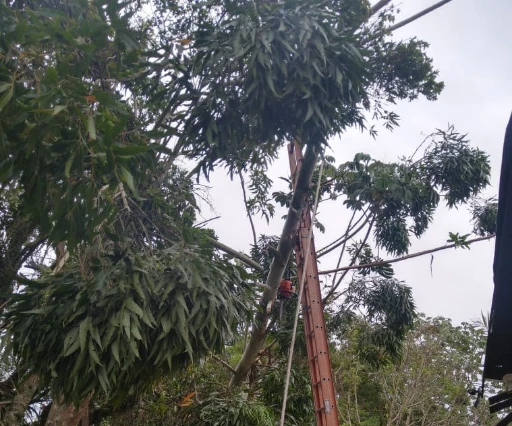 b0694f3a-9f07-411c-ba17-40952a976970