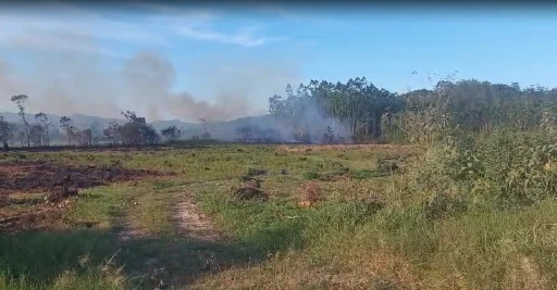 e23e1b87-7633-476c-aac4-6f943df4f71f