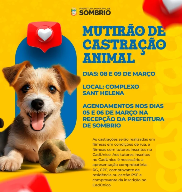 1c22536d-e702-4362-939a-6077bceb7d52