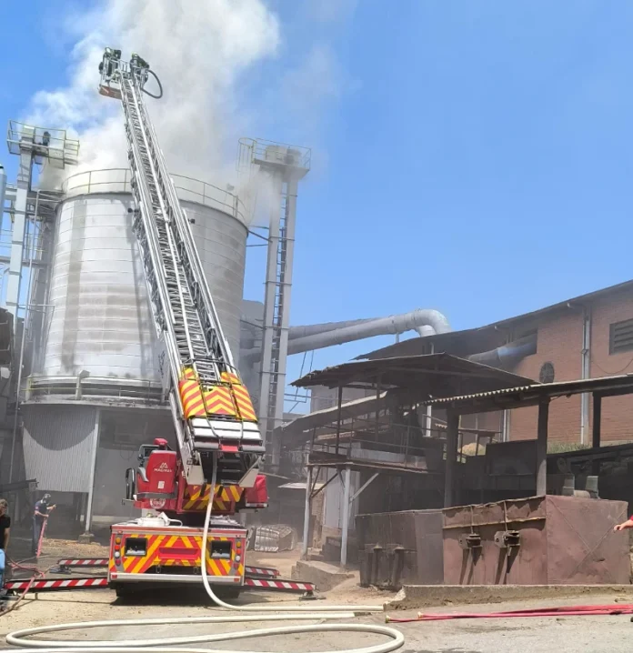 58a885ba-ccbb-4c00-8f83-26cd51283656