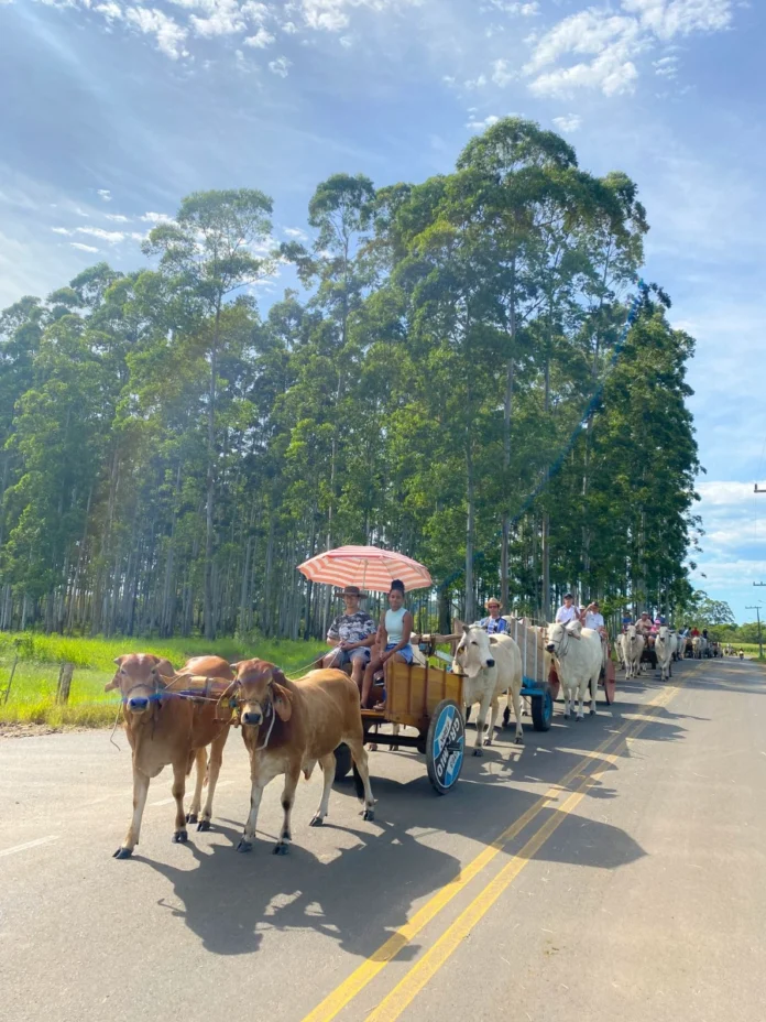 aed9b9f2-f5ac-403f-897d-0f06d19159f7