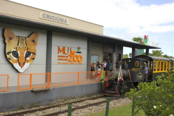 whatsapp-image-2025-02-03-at-152105-2-768x512