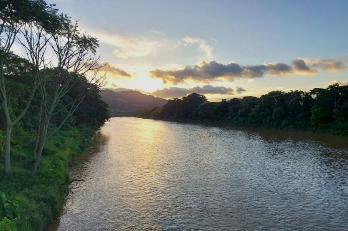 11d382ff-5b4e-4e0a-a6b5-6aef2fb45b5d