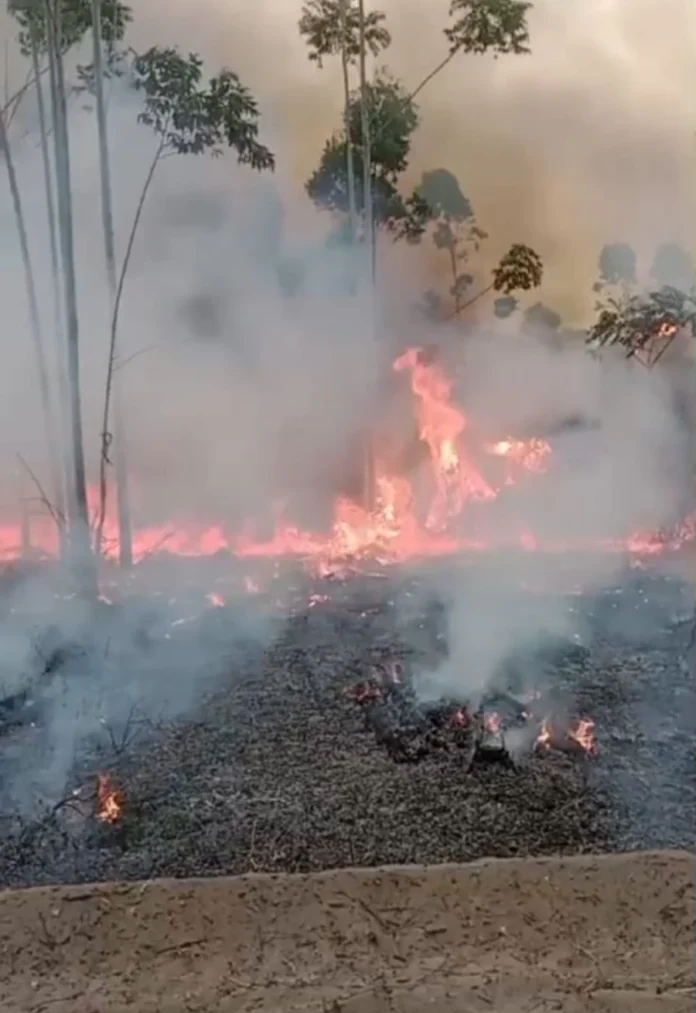 6131b237-317b-49f9-9040-9ec76f8b64f9