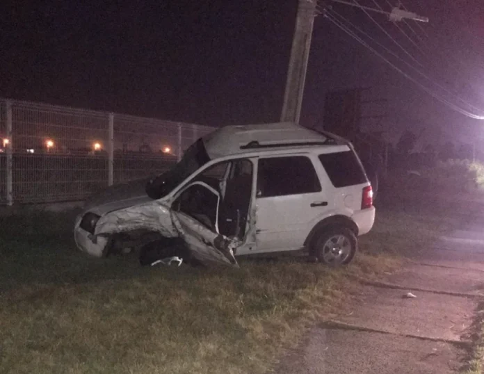 cd02d5a6-8341-4437-8ce8-ed92a2559c25