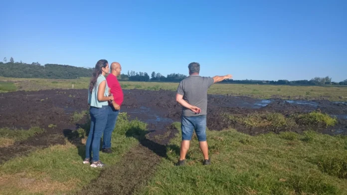 deec4029-175c-4b6f-ac91-4d66a6f397bf