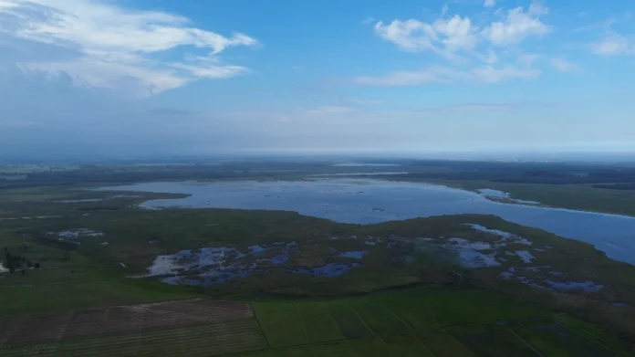 ede3edbb-c5b0-4222-8819-8a2542f5ae6f