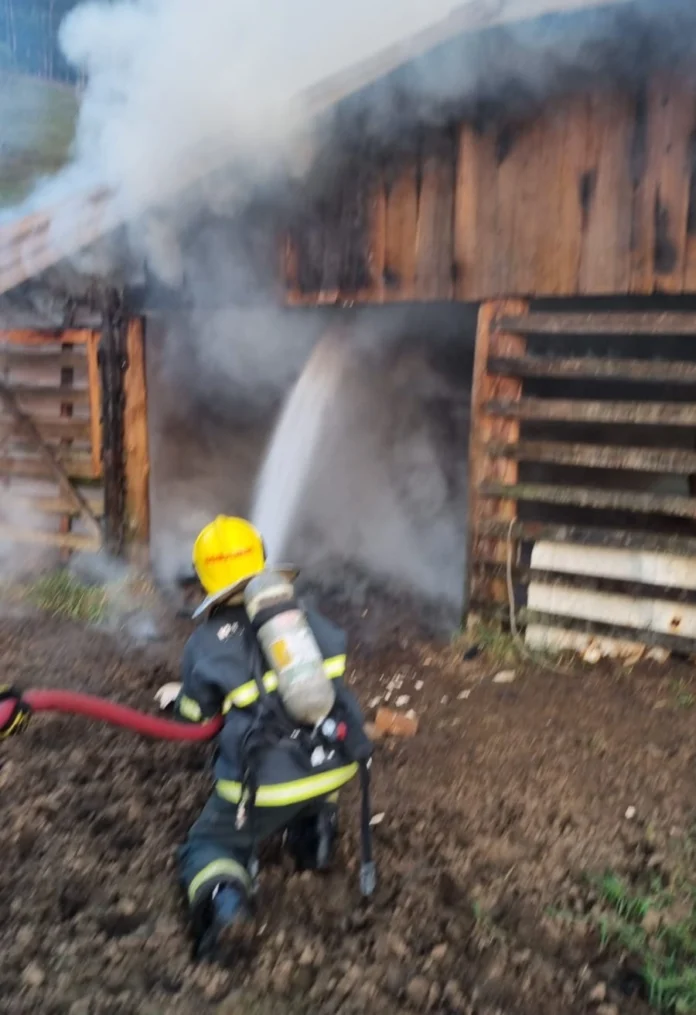 04862a31-fd1c-41b7-bd2d-876aeecb5537