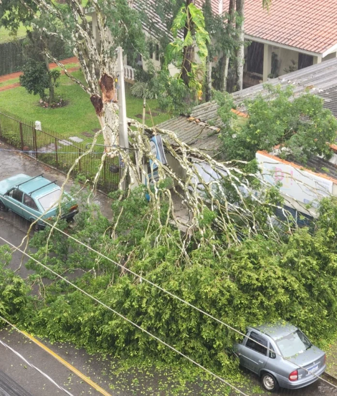 190874e0-4bc8-4df1-8e76-62fdd21bb41d