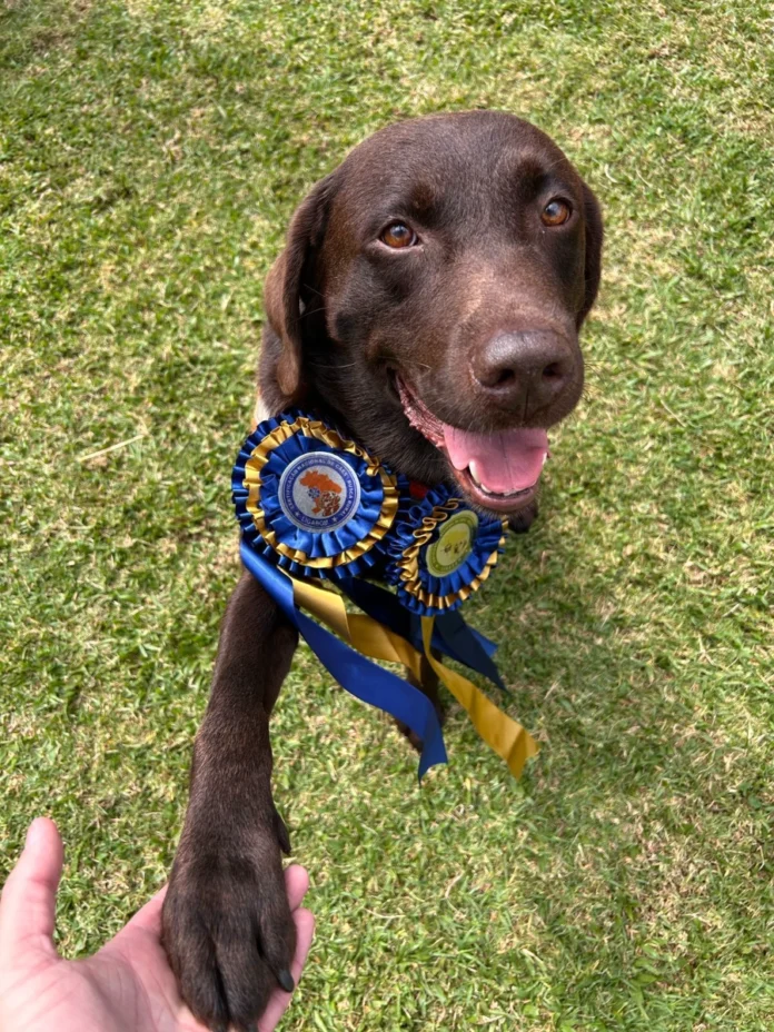 6cce3ccd-da30-428f-b8d1-0e933c702387