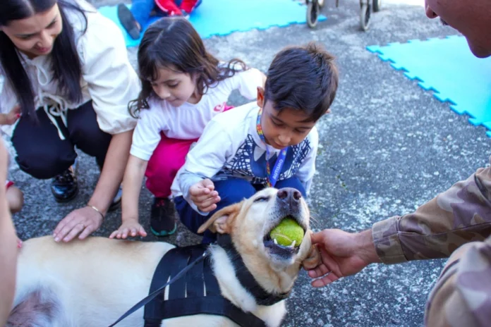 95c0078f-6f99-4544-8e3c-ae1a0121e47a