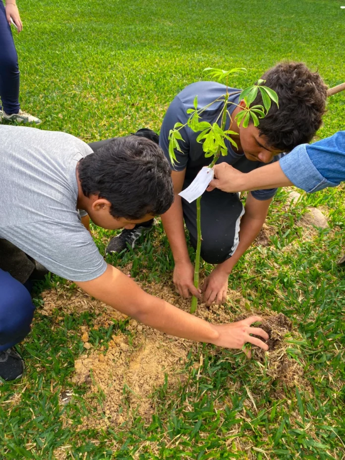 e40d18d1-3d06-4f0a-8ef4-f41aeac781ff