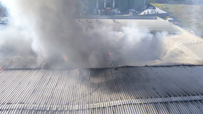 WhatsApp Image 2025-05-06 at 09.14.16