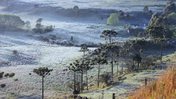 image - 2025-05-26T110442.458