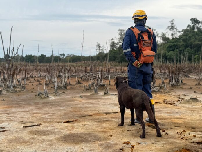 WhatsApp Image 2025-06-02 at 17.56.48