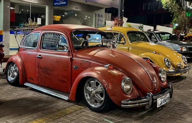 WhatsApp Image 2025-06-17 at 08.37.57 (1)