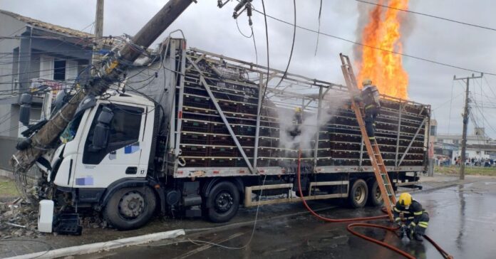 WhatsApp Image 2025-06-18 at 13.43.36 (1)