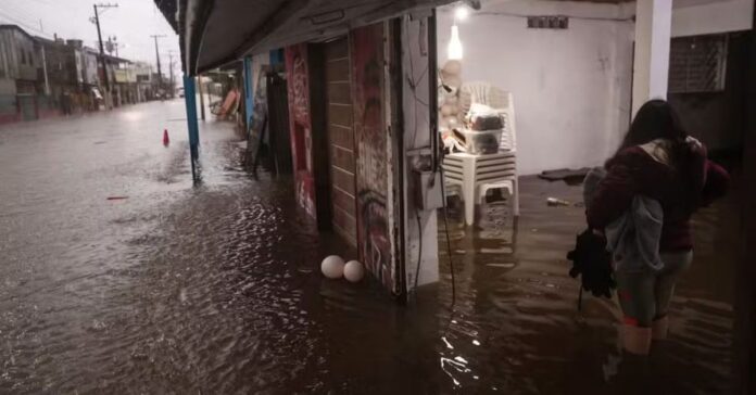 e0607463-41c4-44dc-9d6f-2580f027f917 (2)