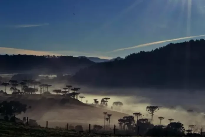 scsaojoaquimgeada6saojoaquimonline