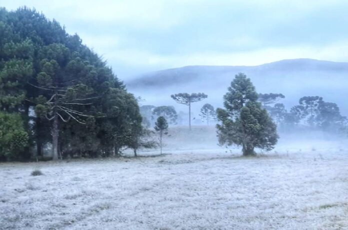 semana-sera-marcada-por-frio-e-geada-em-santa-catarina-ced98-1450x960