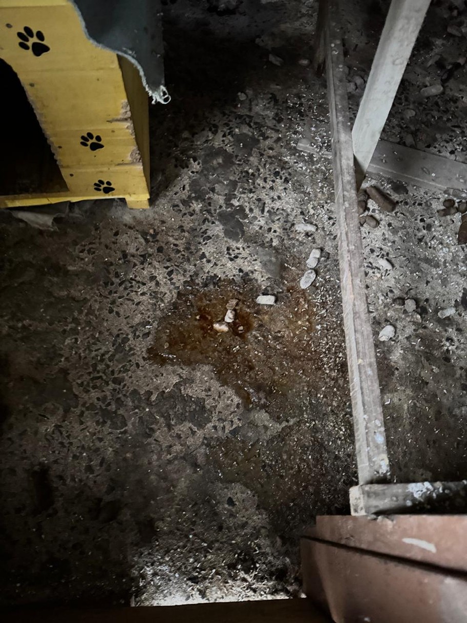 04e9830e-5920-4f3d-9a0e-e172ae3e283d