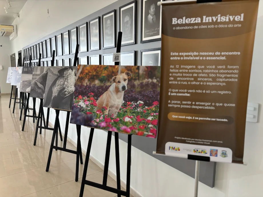 526cf00b-99a0-4e20-b93e-3b6b904520a9