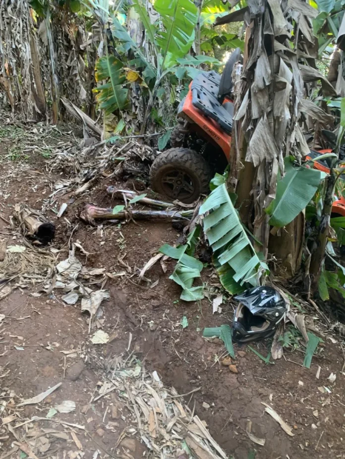 75ebc69c-ea89-4ee9-85bc-c3c5380689e7