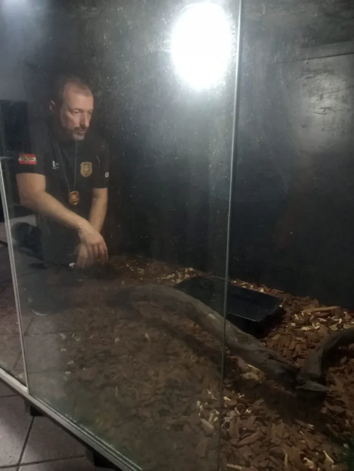 WhatsApp-Image-2025-07-16-at-16.36.24