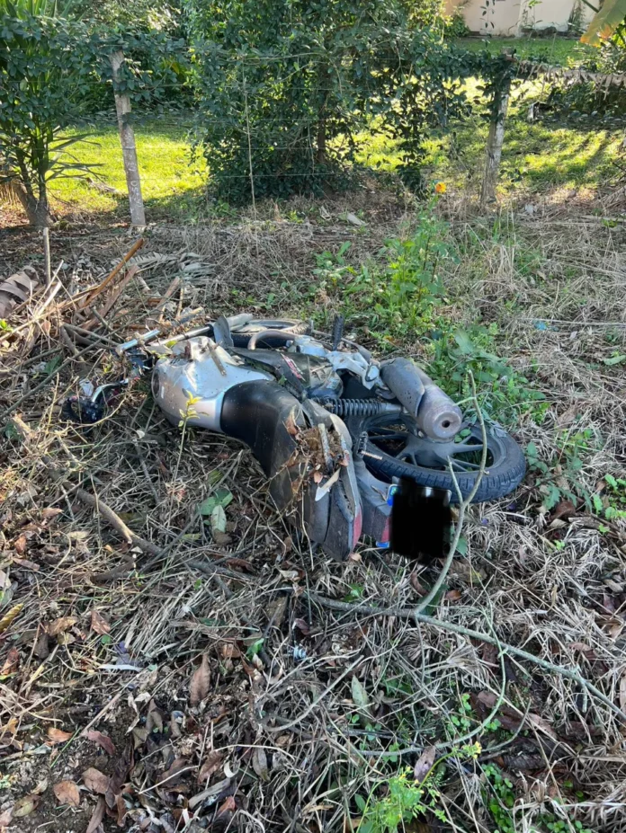 ad3218c4-738e-4a29-9111-70a5f381344f