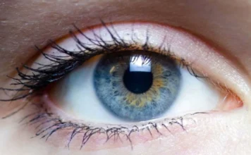 Conheça o tetracromatismo, a mutação que faz enxergar até 100 milhões de cores