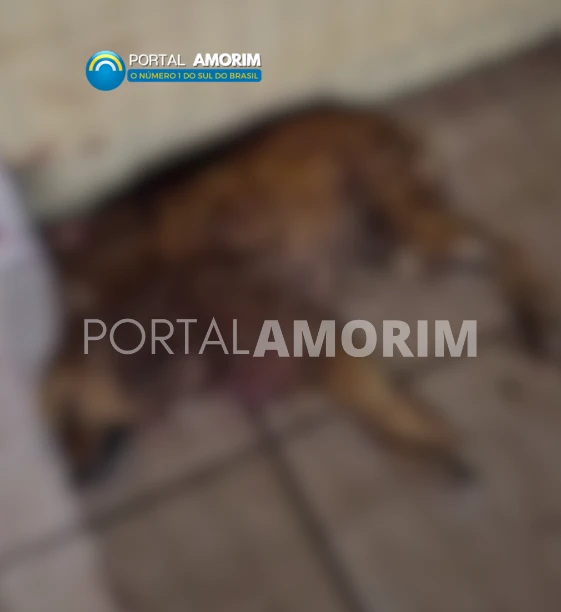 FEED PORTAL - 2025-08-16T083806.460