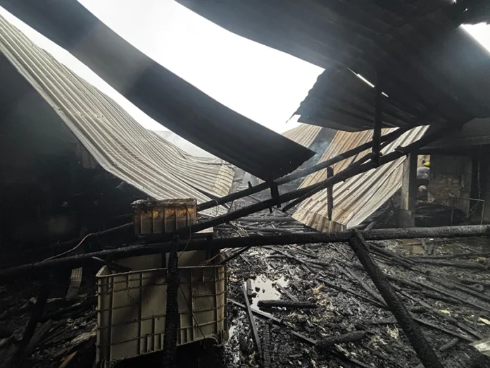 c0d4d45d-594d-430a-99d0-22e403f0e319