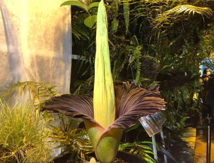 c5c29aed-ce69-45ed-bac0-6e2267ab811a