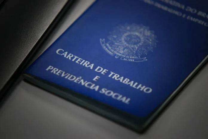 51188763615_b7189ad63d_k_11zon carteira de trabalho