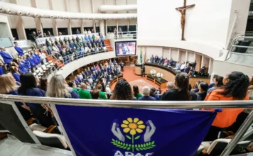 Alesc celebra 20 anos da lei das APAEs em SC Público sentado no plenário da Alesc com uma bandeira da APAE de Brusque em primeiro plano, durante sessão de celebração dos 20 anos da Lei das APAEs.