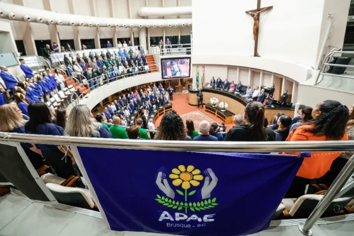 Alesc celebra 20 anos da lei das APAEs em SC Público sentado no plenário da Alesc com uma bandeira da APAE de Brusque em primeiro plano, durante sessão de celebração dos 20 anos da Lei das APAEs.