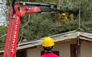 Arroio do Silva: Árvore cai e atinge telhado de residência Bombeiros militares em um cesto aéreo, utilizando um caminhão munck (guindaste) vermelho para remover uma árvore que caiu sobre o telhado de uma residência no bairro Praia da Meta, em Balneário Arroio do Silva.