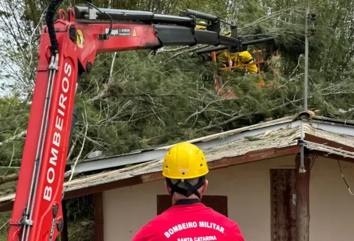 Arroio do Silva Árvore cai e atinge telhado de residência Bombeiros militares em um cesto aéreo, utilizando um caminhão munck (guindaste) vermelho para remover uma árvore que caiu sobre o telhado de uma residência no bairro Praia da Meta, em Balneário Arroio do Silva.
