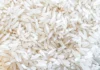 Close-up em grãos de arroz branco, ilustrando o cereal em contexto da crise do setor orizícola de Santa Catarina e das críticas do SindArroz-SC à compra de 137 mil toneladas pela Conab, que não resolve o problema estrutural do estoque.
