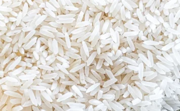 Crise do arroz: Indústrias de SC criticam compra da Conab Close-up em grãos de arroz branco, ilustrando o cereal em contexto da crise do setor orizícola de Santa Catarina e das críticas do SindArroz-SC à compra de 137 mil toneladas pela Conab, que não resolve o problema estrutural do estoque.