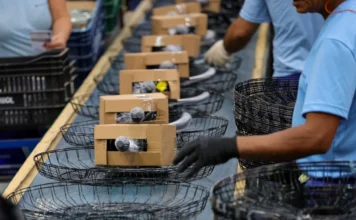 Economia de SC cresce acima da média nacional em 2025 Trabalhadores com luvas em uma linha de montagem industrial, embalando produtos em cestos e caixas, ilustrando o forte crescimento de 3,1% da produção industrial, que impulsiona a economia de Santa Catarina (SC) acima da média nacional.